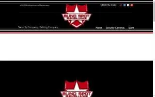Blind Spot Surveillance website