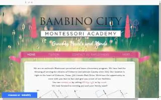 Bambino City Montessori Academy website