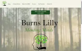 Burns Lilly Mending Minds website