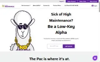 ALPA Insurance of Dallas website