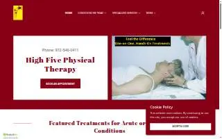 High Five Physical Therapy website
