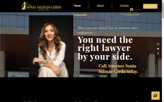 The Sonia Salinas-Cerda Law Group, PLLC