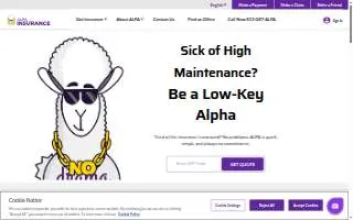 ALPA Insurance of Fort Worth website