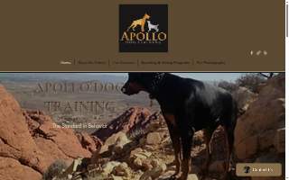 Apollo Dog Training