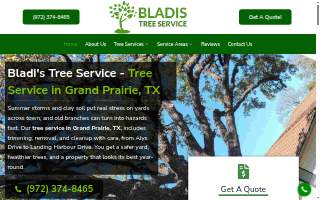 Bladi's Tree Service