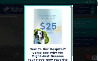 Bissonnet Veterinary Hospital website