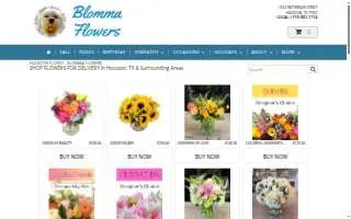 Blomma Flower Shop website