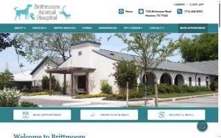 Brittmoore Animal Hospital