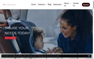 Texan Auto Insurance