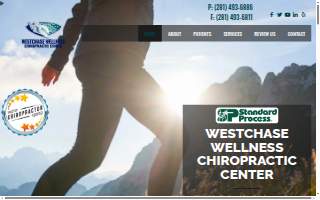 Westchase Wellness Chiropractic Center