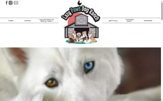 Lazy Paws Dog Ranch