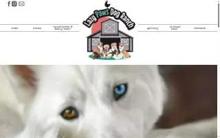 Lazy Paws Dog Ranch website