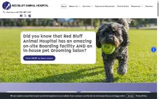Red Bluff Animal Hospital of Pasadena website