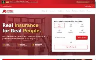Amtex Insurance of Pearland website