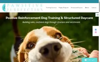 Pawsitive Purrfection LLC website