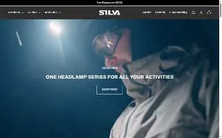Silva's House Leveling & Foundation website