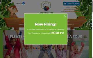 Learning Tree Academy