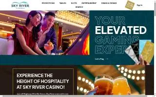 Skyriver IT website