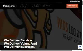 WDS Logistics - SAT website