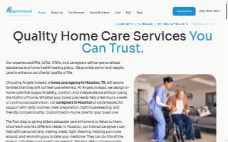 Angels Instead Home Care