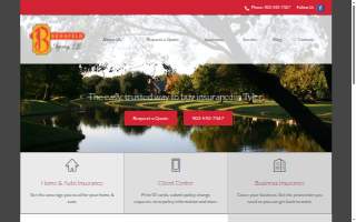 Bergfeld Agency