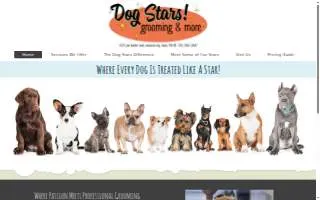 Dog Stars Grooming website