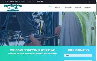 Goyen Electric Inc