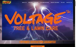 Voltage Tree & Lawn