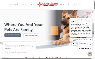 Lake Lavon Animal Hospital