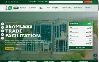 Custom Website Development website