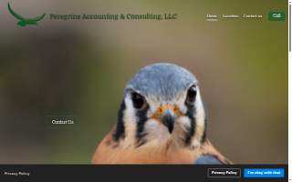 Peregrine Accounting & Consulting
