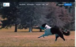 Canine by Design website