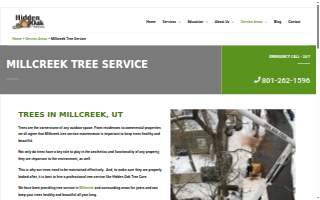 Hidden Oak Tree Care