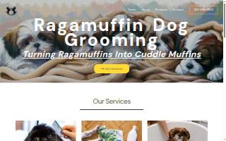 Ragamuffin dog grooming