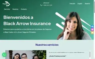 Black Arrow Insurance website
