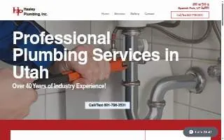 Healey Plumbing Inc website