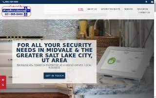 Professional Alarm website