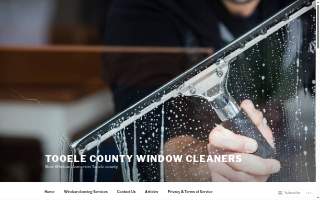 Streak Freak Window Washing