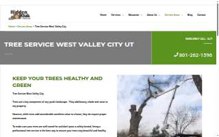 Hidden Oak Tree Care