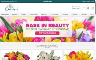 Conklyn's Florist of Alexandria