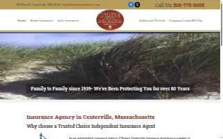 O'Brien Insurance Agency of Alexandria website