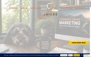 Creative Juices Marketing & Advertising Agency website
