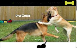 Affectionate Pet Care of Burke