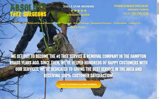 Absolute Tree Surgeons LLC
