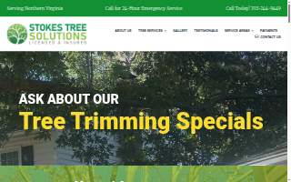Stokes Tree Solutions