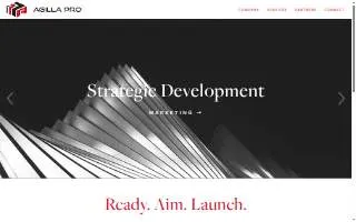 Agilla Pro Consulting website
