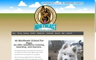 HealthFocus Acupuncture website