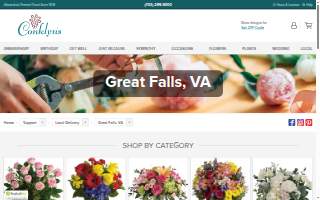 Conklyn's Florist of Great Falls