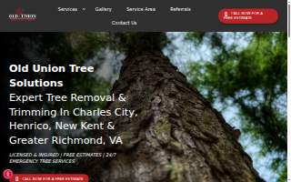 Old Union Tree Solutions