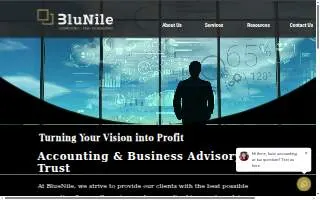 BlueNile Accounting Tax & Consulting website